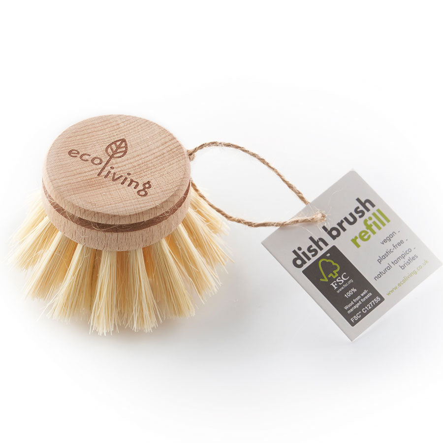 Dish Brush Replacement Head(FSC 100%) - EcoLiving image 0