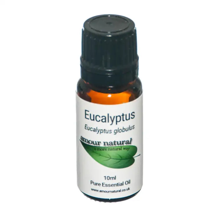 Eucalyptus Pure Essential Oil - Amour Natural image 0