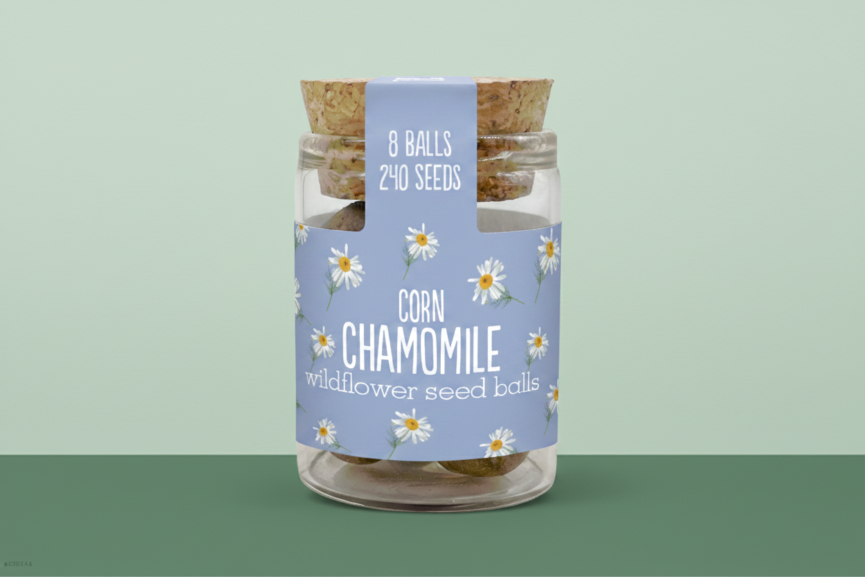 Corn Chamomile