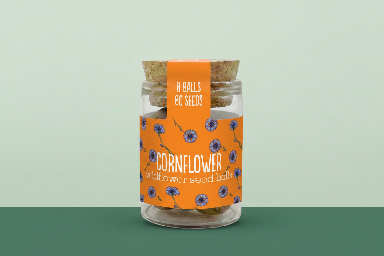 Cornflower