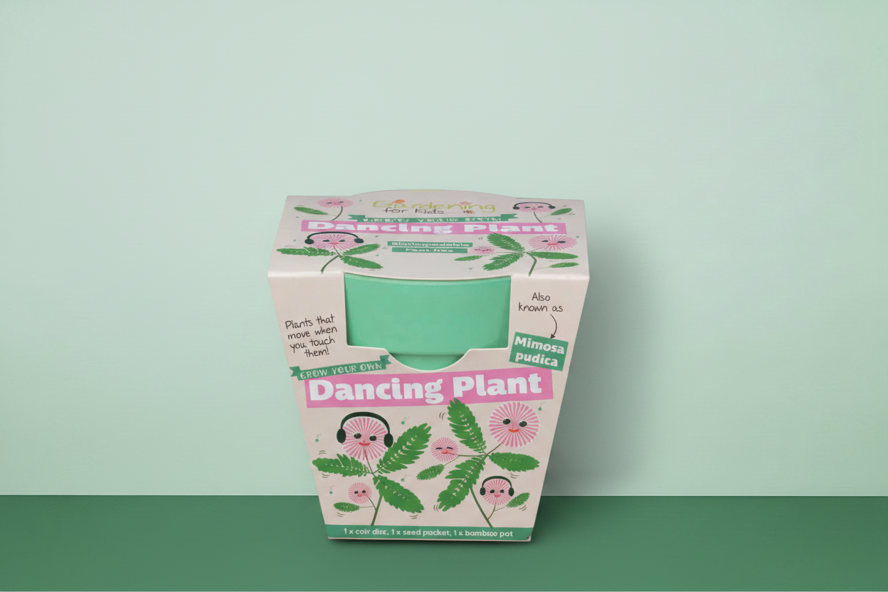 Dancing Plant Hero Shot