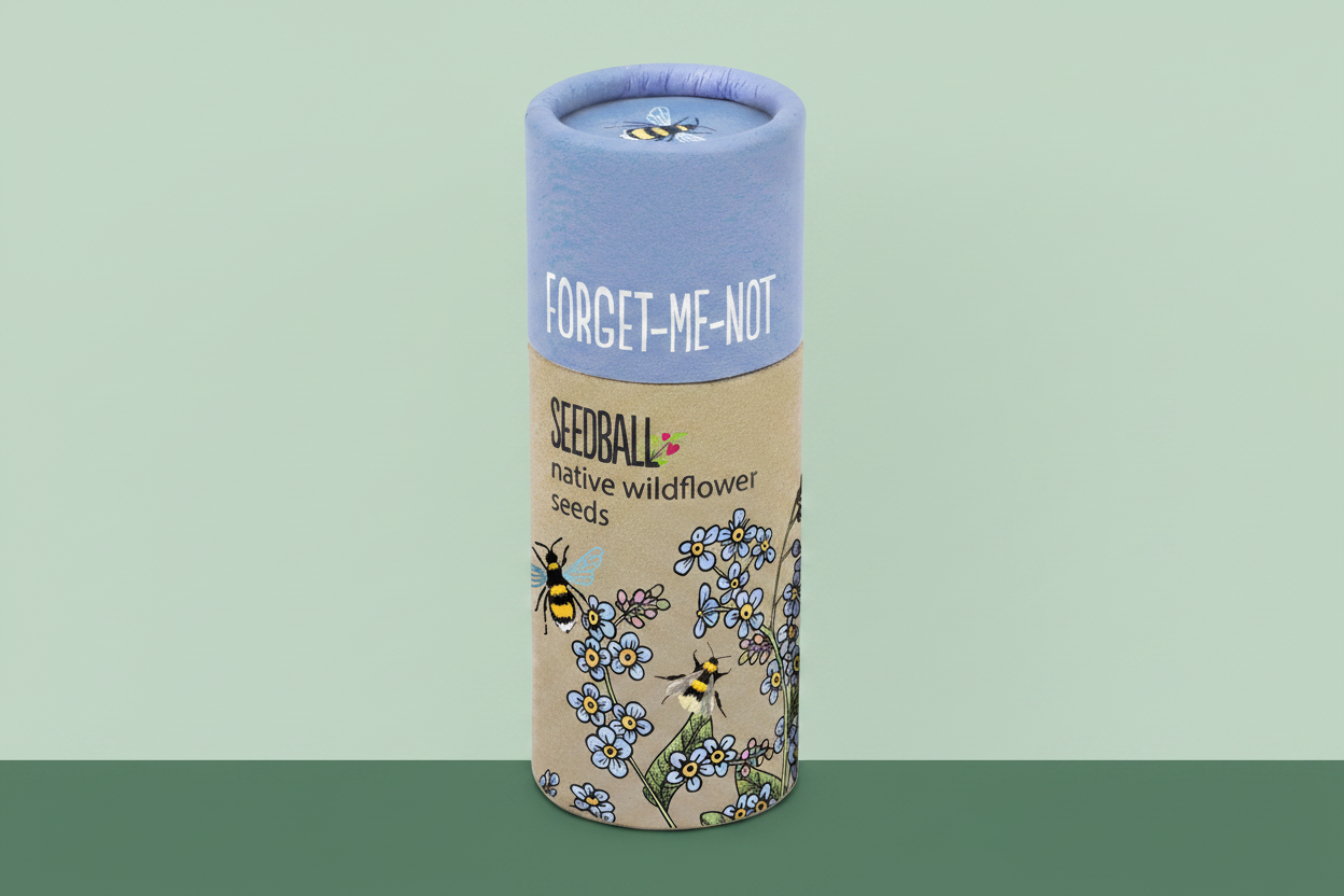Forget-Me-Not