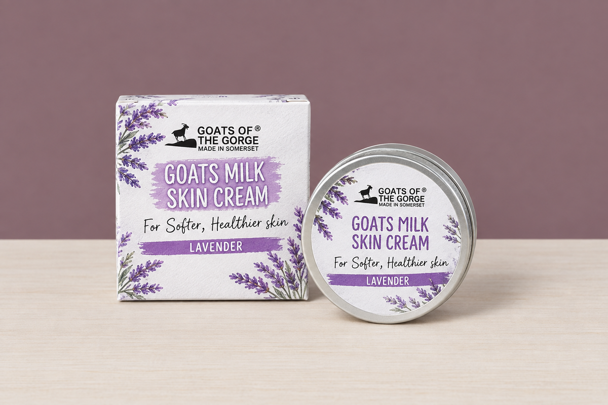 Goats Milk Skin Cream lavender box and tin in the mauve wall and wood table scene