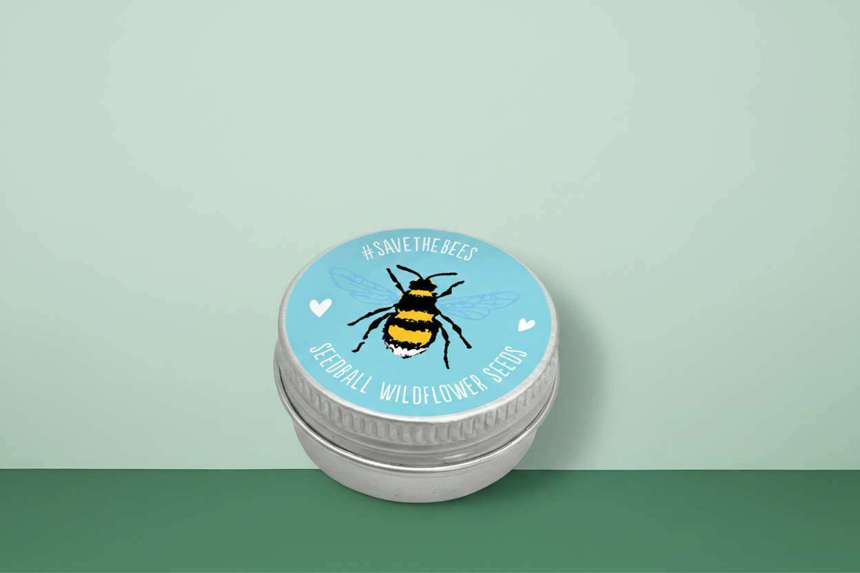 Seedball Tin Blue - Hero Shot