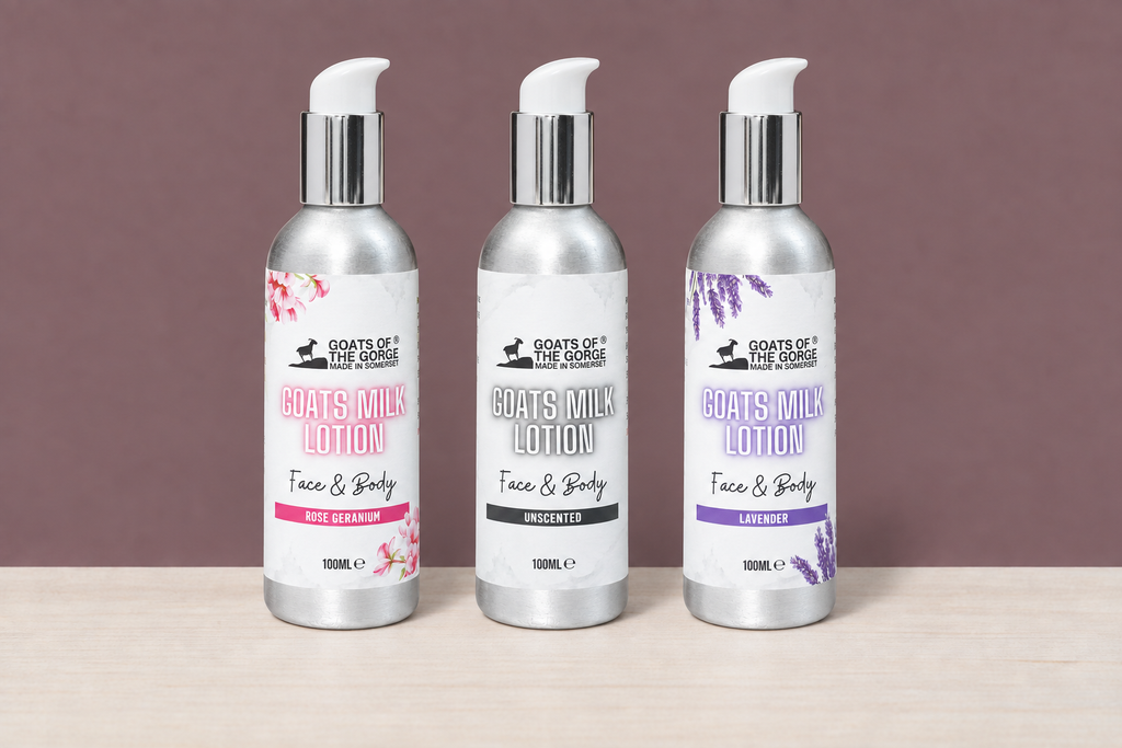 Three Goats of the Gorge lotion bottles with corrected pumps in the mauve wall and wood table scene
