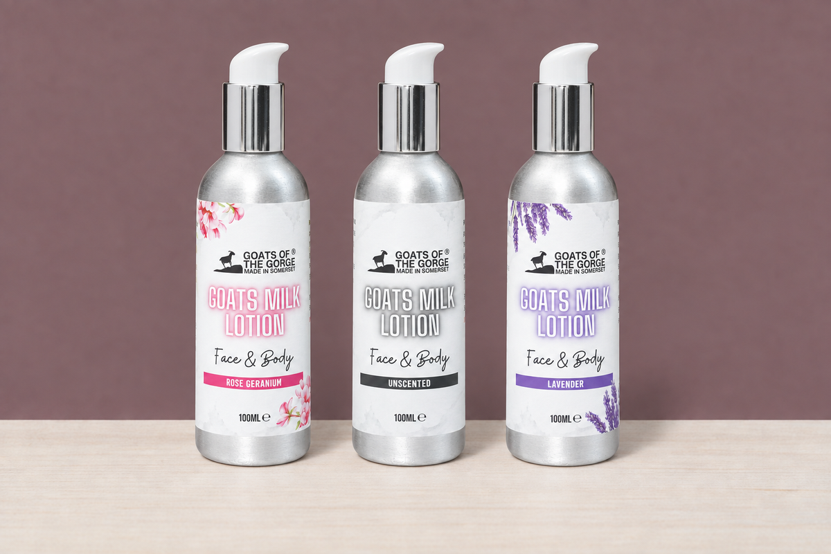 Three Goats of the Gorge lotion bottles with corrected pumps in the mauve wall and wood table scene